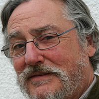 Foto Francesc Lucchetti