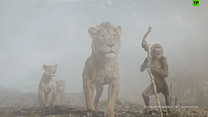 imagen de Mufasa: El rey león Tráiler
