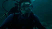 imagen de Whalefall Teaser