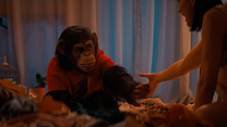 imagen de Primate Tráiler
