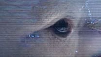 imagen de Alien: Planeta Tierra Teaser