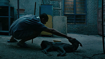 imagen de Black Dog Tráiler