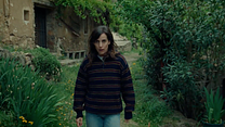 imagen de Enjambre Clip