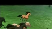 imagen de Spirit: El corcel indomable Tráiler 