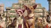 imagen de Un chihuahua en Beverly Hills Tráiler 