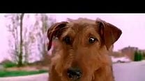 imagen de Perro al rescate Tráiler 