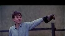 imagen de Kes Tráiler VO
