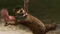 imagen de El oso Yogui Tráiler 