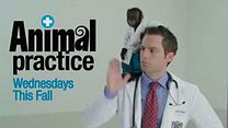 imagen de Animal Practice Tráiler VO