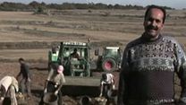 imagen de Tudancos. Supervivientes campesinos Tráiler 