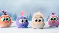 imagen de Angry Birds. La película Teaser VO