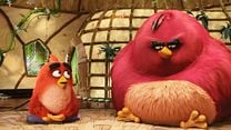 imagen de Angry Birds. La película Clip (4) 