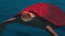 imagen de La tortuga roja Tráiler (3) VO