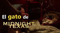 imagen de El gato de Midnight, Texas