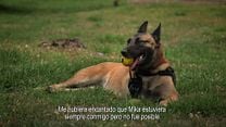 imagen de Perro de Guerra Tráiler VO