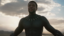 imagen de Black Panther Spot