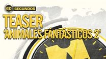 imagen de 60 segundos - Teaser de 'Los Crímenes de Grindelwald'