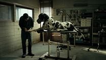 imagen de Dogman Tráiler 