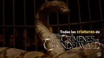 imagen de Todas las criaturas de 'Animales fantásticos 2' 