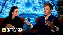 imagen de Zoë Kravitz, Jude Law, Eddie Redmayne, Callum Turner, Katherine Waterston Interview 4: Animales fantásticos: Los Crímenes de Grindelwald