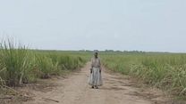 imagen de The Long Song Tráiler VO