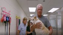 imagen de Life in the Doghouse Tráiler VO