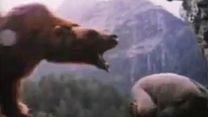 imagen de El oso Tráiler VO