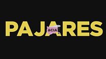imagen de Pajares & CIA Teaser