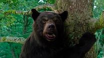 imagen de Oso vicioso Tráiler