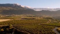 imagen de Rioja, la tierra de los mil vinos Tráiler