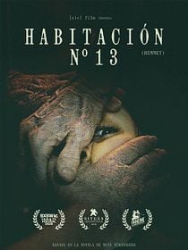Habitación nº13