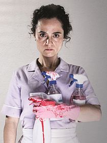 La muchacha que limpia