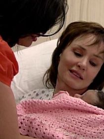 La rosa de Guadalupe