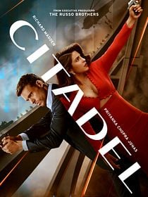 Cartel de Citadel