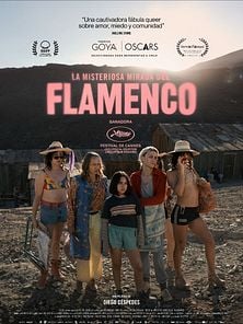 imagen de La Misteriosa Mirada Del Flamenco Tráiler