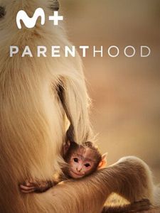 Cartel de Parenthood Temporada 1