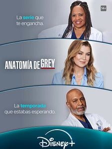 Cartel de Anatomía de Grey Temporada 20