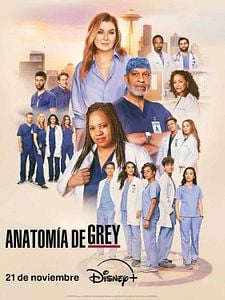 Cartel de Anatomía de Grey Temporada 21
