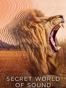 Cartel de El mundo secreto del sonido con David Attenborough Temporada 1
