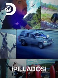 Cartel de ¡Pillados! Temporada 1