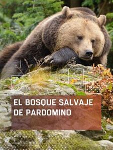 Cartel de El bosque salvaje de Pardomino Temporada 1