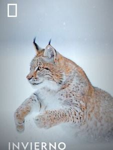 Cartel de Wild Winter Temporada 1