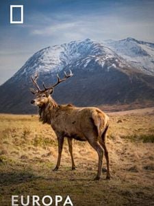 Cartel de Europa indómita Temporada 1