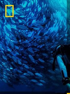 Cartel de Océanos Temporada 1