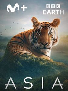 Cartel de Asia Temporada 1