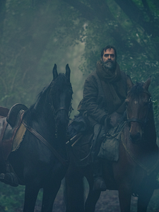 Cartel de Lobo Temporada 1