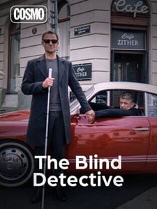 Cartel de The blind detective Temporada 1