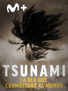 Cartel de Tsunami: la ola que conmocionó al mundo Temporada 1