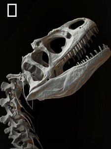 Cartel de Dinosaurs Temporada 1