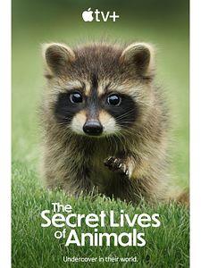 Cartel de La vida secreta de los animales Temporada 1